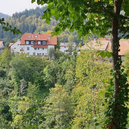 Ferienwohnung Auf Dem Bueckle Kleines Wiesental 외부 사진