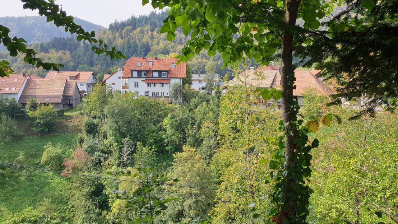 Ferienwohnung Auf Dem Bueckle Kleines Wiesental 외부 사진