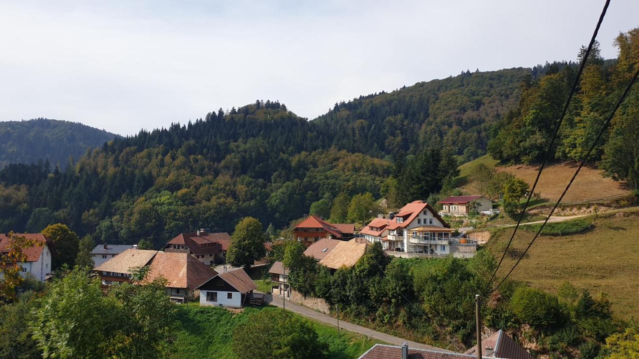 Ferienwohnung Auf Dem Bueckle Kleines Wiesental 외부 사진